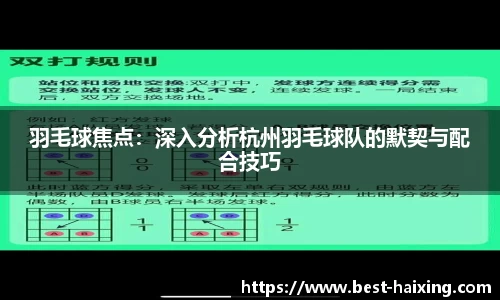 羽毛球焦点：深入分析杭州羽毛球队的默契与配合技巧